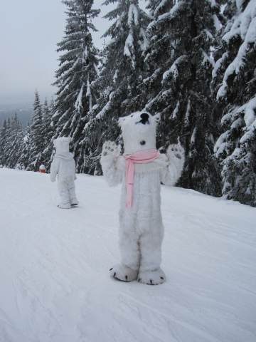 Spinleruv Mlyn Februari 2010